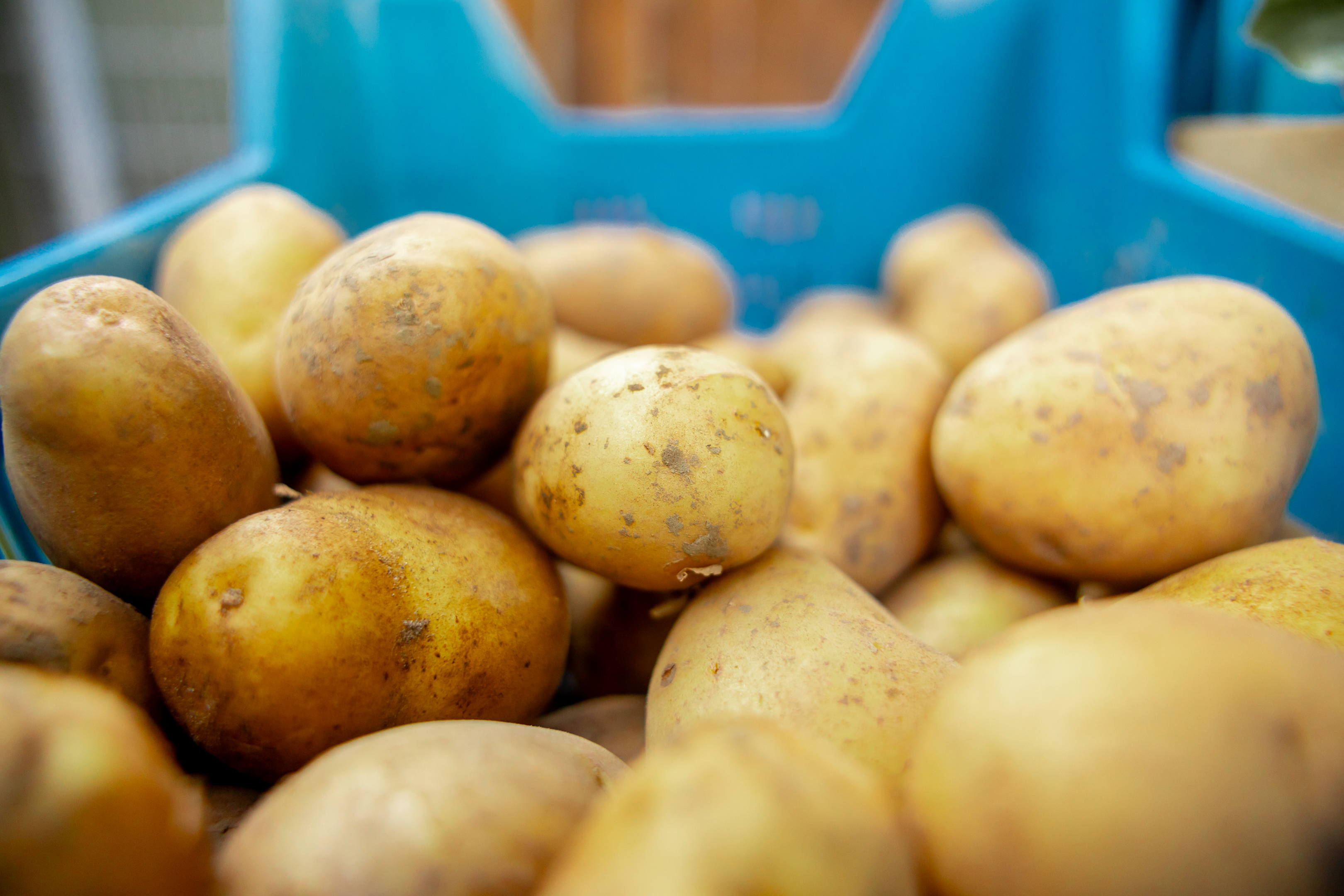 Aardappels - Frieslanders
