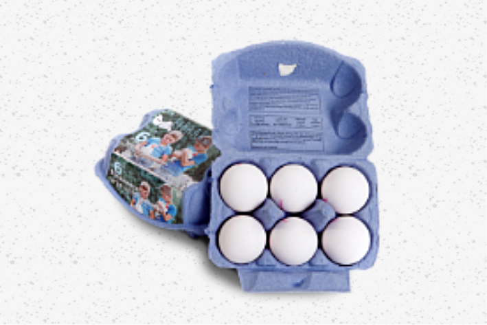 Eieren (6 stuks)